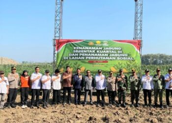 Ketua Komisi B DPRD Pati Dorong Peningkatan Produksi Jagung
