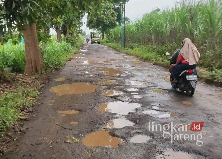 DPRD Pati Desak Pengawasan Ketat Kendaraan Overload Penyebab Jalan Rusak 25 Kondisi kerusakan jalan di Kabupaten Pati. (Dok. Lingkarjateng.id)