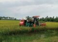 Panen raya di Kabupaten Pati. (Lingkarjateng.id)