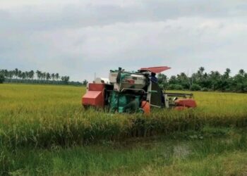 Komisi B DPRD Pati Minta Program MBG Serap Hasil Panen Petani Lokal