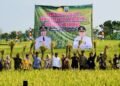 Kegiatan Panen raya Musim Tanam 1 (MT1) di Desa Mojorembun, Kecamatan Kaliori pada Kamis, 12 Februari 2026. (Vicky Rio/Lingkarjateng.id)