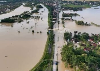 Tanggul Sungai Tuntang Grobogan Jebol, Jalan Purwodadi-Semarang Lumpuh Tergenang Banjir 25 Foto udara kondisi banjir yang melumpuhkan Jalan Purwodadi-Semarang imbas tanggul Sungai Tuntang yang jebol di Desa Tinanding, Kecamatan Godong, Kabupaten Grobogan, Senin, 16 Februari 2026. (Tangkapan layar IG a6_gabuts_/Lingkarjateng.id)