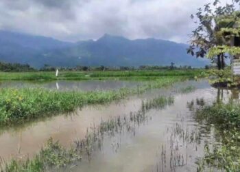 Hujan Deras Semalam, 2 Desa di Kabupaten Semarang Banjir