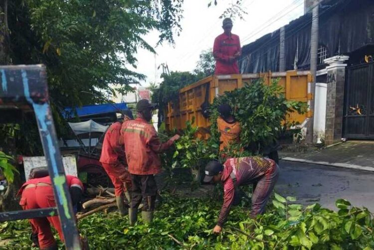 Petugas saat membersihkan pohon tumbang akibat angin kencang, Rabu (4/3). Foto : Dok Pemkot Semarang for Lingkar Jateng