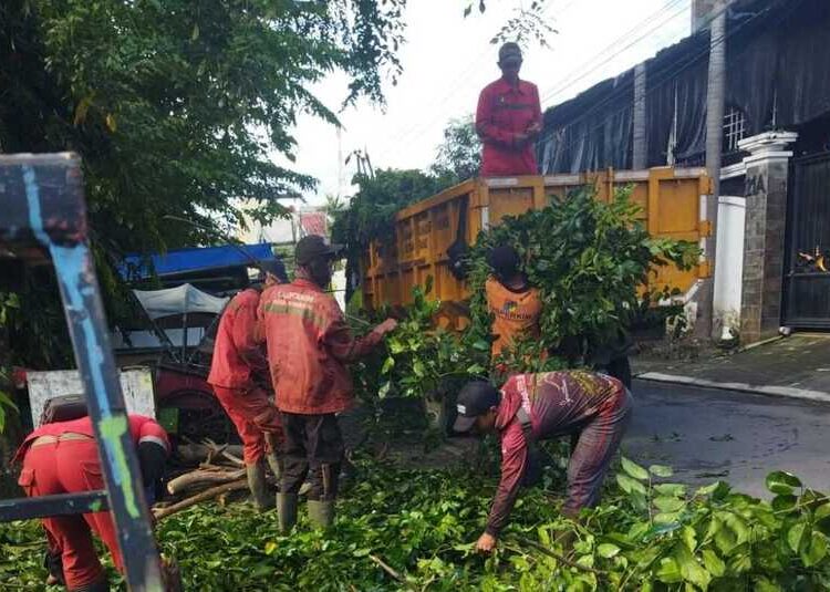 Bencana Hidrometeorologi, BPBD Semarang Siagakan Kelurahan Tangguh Bencana 25 Petugas saat membersihkan pohon tumbang akibat angin kencang, Rabu (4/3). Foto : Dok Pemkot Semarang for Lingkar Jateng