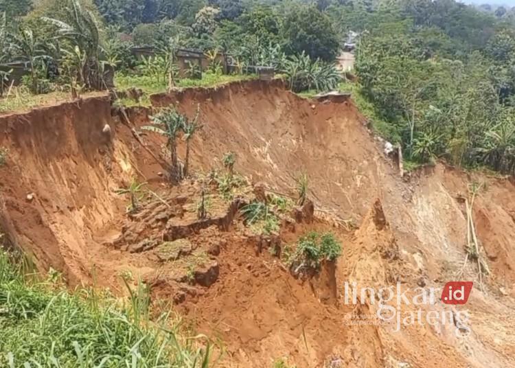 Longsor Kalongan Ancam Permukiman, Pemkab Semarang Siapkan Relokasi Warga ke Rusunawa 25 Tanah longsor di Desa Kalongan, Kecamatan Ungaran Timur, Kabupaten Semarang. (Hesty Imaniar/Lingkarjateng.id)