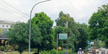 Masa Mudik 2026, Dishub Provinsi Pastikan Lampu Jalan di Blora Aktif Semua 10 ILUSTRASI: Salah satu titik lampu jalan di ruas jalan provinsi di Kabupaten Blora. (Eko Wicaksono/Lingkarjateng.id)