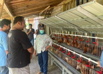 Petani Milenial di Blora Dapat Bantuan Usaha Peternakan Ayam