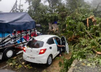 Pohon tumbang menimpa mobil di Jalan Pantura Batang akibat cuaca ekstrem, Rabu, 4 Maret 2026. (Lingkarjateng.id)