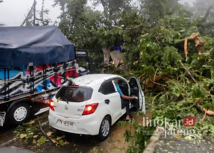 Cuaca Ekstrem Terjang Batang, Pohon Tumbang Lumpuhkan Jalur Pantura, 3 Orang Meninggal 25 Pohon tumbang menimpa mobil di Jalan Pantura Batang akibat cuaca ekstrem, Rabu, 4 Maret 2026. (Lingkarjateng.id)