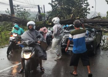 Bibit Siklon Tropis Picu Cuaca Ekstrem di Kota Semarang, Puluhan Pohon Tumbang