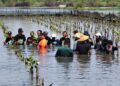 Sejumlah peserta ikut tanam bibit mangrove di kawasan pesisir Desa Mulyorejo, Kecamatan Tirto, Kabupaten Pekalongan, Senin, 30 Maret 2026. (Fahri Akbar/Lingkarjateng.id)