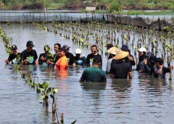 Sejumlah peserta ikut tanam bibit mangrove di kawasan pesisir Desa Mulyorejo, Kecamatan Tirto, Kabupaten Pekalongan, Senin, 30 Maret 2026. (Fahri Akbar/Lingkarjateng.id)