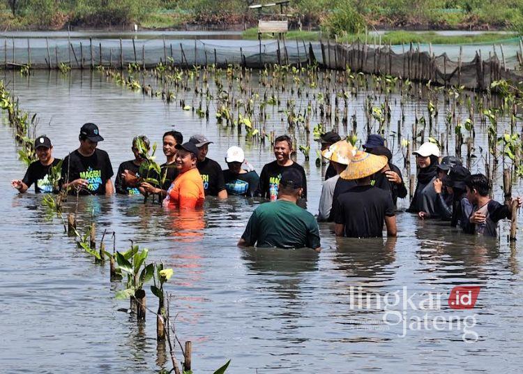 Reboisasi Pesisir Pekalongan, Sejumlah Instansi Tanam Mangrove di Mulyorejo 25 Sejumlah peserta ikut tanam bibit mangrove di kawasan pesisir Desa Mulyorejo, Kecamatan Tirto, Kabupaten Pekalongan, Senin, 30 Maret 2026. (Fahri Akbar/Lingkarjateng.id)