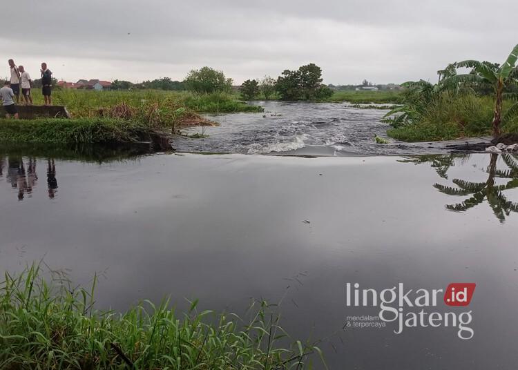 Tanggul Sungai Bremi Jebol, Ratusan Rumah di Perbatasan Pekalongan Terendam Banjir 25 Kondisi tanggul Sungai Bremi di Desa Tegaldowo, Kecamatan Tirto, Kabupaten Pekalongan, yang jebol, Kamis, 26 Maret 2026. (Fahri Akbar/Lingkarjateng.id)