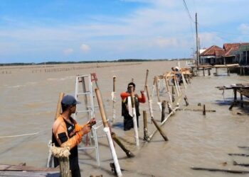 Warga Dukuh Timbulsloko Sayung gotong royong memperbaiki akses jalan panggung yang rusak diterjang ombak. (M Burhanuddin Aslam/Lingkarjateng.id)
