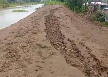 Tanggul Sungai Tuntang Grobogan Retak, Pemprov Jateng Minta BBWS Segera Perbaiki 25 Penampakan tanggul sungai Tuntang Grobogan yang retak. (Dok. Humas Pemprov Jateng/Lingkarjateng.id)