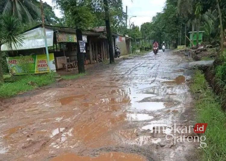 Perbaikan Jalan di Pati Tak Kunjung Dilanjut, Plt Bupati: Tunggu Asistensi KPK 25 Kondisi jalan rusak dipenuhi lumpur di Kabupaten Pati. (Lingkarjateng.id)