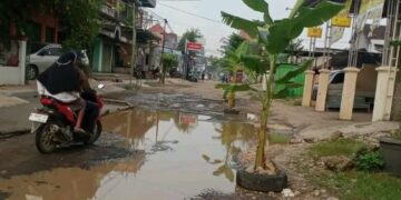 KPK Bakal Asistensi Pengadaan di Pati, Perbaikan Jalan Segera Dilanjut 2 Jalan berlubang di Pati ditanami pohon pisang sebagai bentuk protes menuntut perbaikan. (Lingkarjateng.id)