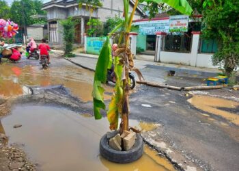 Jalan ke RSUD Kayen Pati Rusak Ditanami Pohon Pisang, Warga Tuntut Perbaikan
