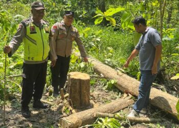 Polisi menunjukkan lokasi petani di grobogan ditemukan meninggal tertimpa pohon jati. Foto : Abror/Lingkar