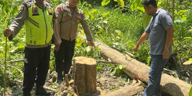 Polisi menunjukkan lokasi petani di grobogan ditemukan meninggal tertimpa pohon jati. Foto : Abror/Lingkar