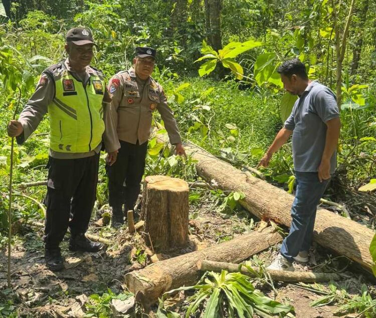 Polisi menunjukkan lokasi petani di grobogan ditemukan meninggal tertimpa pohon jati. Foto : Abror/Lingkar