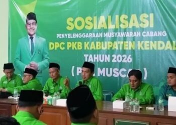 4 Kader Terbaik Bakal Berebut Kursi Ketua DPC PKB Kendal 25 Muscab DPC Partai Kabupaten Kendal. Foto : Dok. DPC PKB Kendal