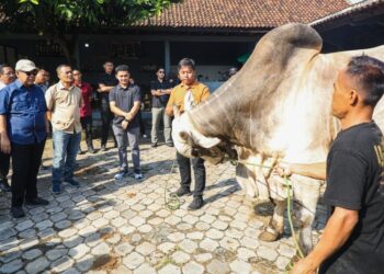 Gubernur Jawa Tengah Ahmad Luthfi mendampingi Ketua Majelis Permusyawaratan Rakyat (MPR) Ahmad Muzani dan Wakil Menteri Pertanian Sudaryono meninjau peternakan sapi Berkah Setia Farm di Kabupaten Purworejo,  Sabtu, 25 April 2026. (Humas Pemprov Jateng/Lingkarjateng.id)