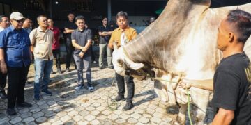 Gubernur Jawa Tengah Ahmad Luthfi mendampingi Ketua Majelis Permusyawaratan Rakyat (MPR) Ahmad Muzani dan Wakil Menteri Pertanian Sudaryono meninjau peternakan sapi Berkah Setia Farm di Kabupaten Purworejo,  Sabtu, 25 April 2026. (Humas Pemprov Jateng/Lingkarjateng.id)