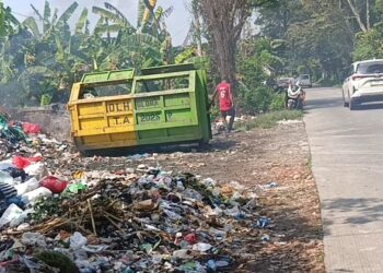 Warga Keluhkan Sampah di TPS Wulung Timbulkan Bau Menyengat dan Berserakan