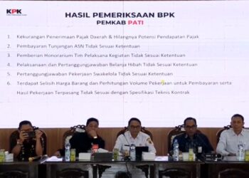 6 Poin Hasil Pemeriksaan Terhadap Pemkab Pati yang Jadi Sorotan BPK