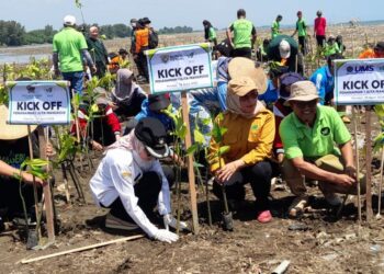 Cegah Abrasi, Bupati Kendal Bersama MPLHK Tanam 1 Juta Mangrove