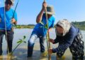 Aksi menanam mangrove di pesisir Demak. Foto : Burhan Aslam/Lingkar