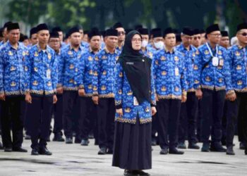 Ilustrasi - Aparatur Sipil Negara ( ASN)