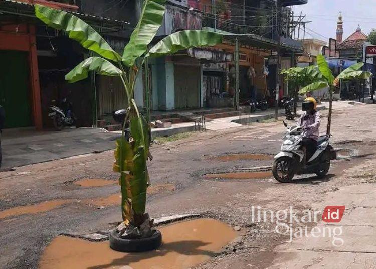 Usai Diprotes Warga, Ketua DPRD Pati Minta Jalan Kayen Dicor Beton 25 Seorang warga melintasi ruas jalan sebelah barat RSUD Kayen yang ditanami pohon pisang. (Lingkarjateng.id)