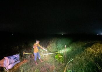 Pasang Jebakan Tikus di Sawah, Petani di Blora Ditemukan Tewas