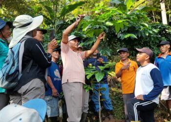 DPP Kendal menggelar pelatihan budidaya kopi berbasis agroekosistem di Desa Pakis, Kecamatan Limbangan, Kabupaten Kendal, Selasa, 21 April 2026. (Anik Kustiani/Lingkarjateng.id)