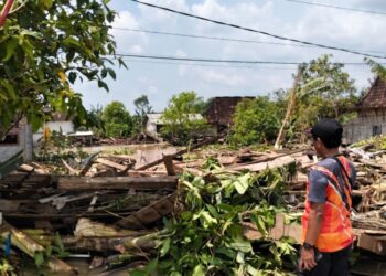 Salah satu rumah warga di Desa Trimulyo, Kecamatan Guntur, Kabupaten Demak, ambruk diterjang banjir akibat jebolnya tanggul Sungai Tuntang. (Antara/Lingkarjateng.id)