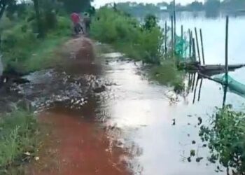 Air melimpas melewati tanggul yang melintang di Desa Mulyorejo Kecamatan Tirto, Kabupaten Pekalongan pada Kamis, 30 April 2026 sore. (dok for Lingkarjateng.id)