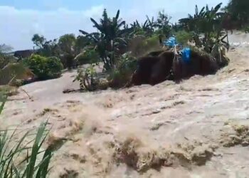 Imbas Tanggul Sungai Tuntang Jebol, Ratusan Warga Terdampak Banjir Mengungsi 25 Tangkapan layar: Luapan banjir akibat tanggul sungai Tuntang jebol di Desa Trimulyo mengalir deras ke pemukiman warga. Foto : Dok. Pribadi Warga for Lingkar