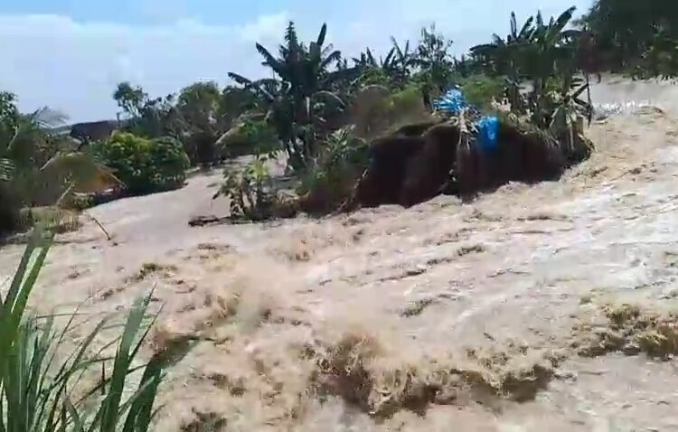 Tangkapan layar: Luapan banjir akibat tanggul sungai Tuntang jebol di Desa Trimulyo mengalir deras ke pemukiman warga. Foto : Dok. Pribadi Warga for Lingkar