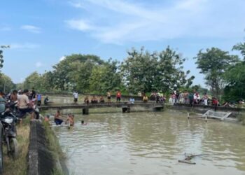 Tenggelam di Saluran Irigasi, Warga Klambu Grobogan Ditemukan Tewas