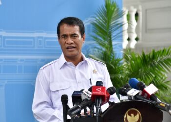 Menteri Pertanian (Mentan), Andi Amran Sulaiman. Foto : Biro media Setpres RI
