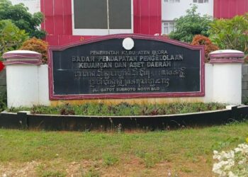 Anggaran Internet Pemkab Blora Tembus Rp2,5 Miliar, 3 OPD Ajukan Capcut hingga Canva