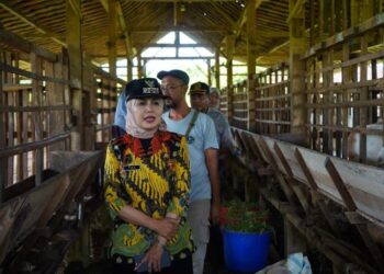 Bupati Kendal, Dyah Kartika Permanasari saat mengunjungi peternakan Bumi Ijo Desa Truko,  Selasa, 7 April 2026. (Anik Kustiani/Lingkarjateng.id)