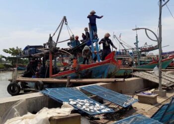 Produksi Ikan Tangkap dan Budidaya di Kendal Diprediksi Turun karena El Nino