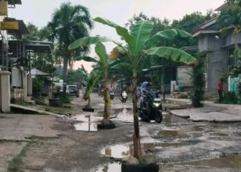 Soal Perbaikan Jalan Rusak Tunggu Asistensi KPK, Ini Tanggapan DPRD Pati