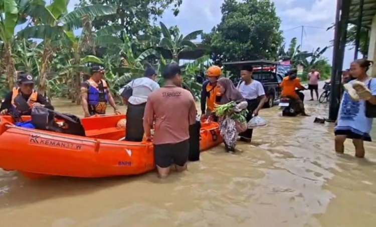 Buntut Tanggul Sungai Tuntang Jebol, 4 Kecamatan Terimbas Banjir – Ribuan Jiwa Mengungsi 25 Tim BPBD Demak bersama relawan melakukan evakuasi warga yang terdampak banjir akibat meluapnya dan jebolnya tanggul Sungai Tuntang, Jumat (3/4/2026). Foto : BPBD Demak for Lingkar