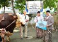 Sukirman Serahkan Hewan Kurban Bantuan Presiden dan Pemkab Pekalongan 34 Pelaksana tugas Bupati Pekalongan Sukirman menyerahkan secara simbolis hewan kurban bantuan Presiden RI kepada takmir Masjid Al-Muhtarom Kajen usai Salat Iduladha, Rabu, 27 Mei 2026. (Fahri Akbar/Lingkarjateng.id)